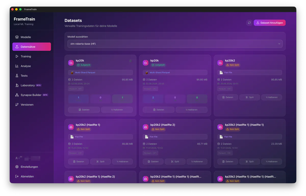 FrameTrain Datensatz-Verwaltung mit Parquet-Datensätzen, Split-Status und Buttons zum Aufteilen und Halbieren