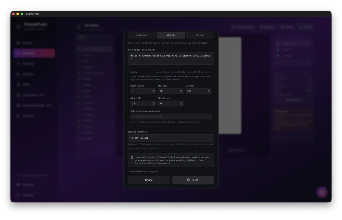 “Fetch from the web” dialog in website mode with start page, limits for depth, pages, files and file size, license field and robots.txt note
